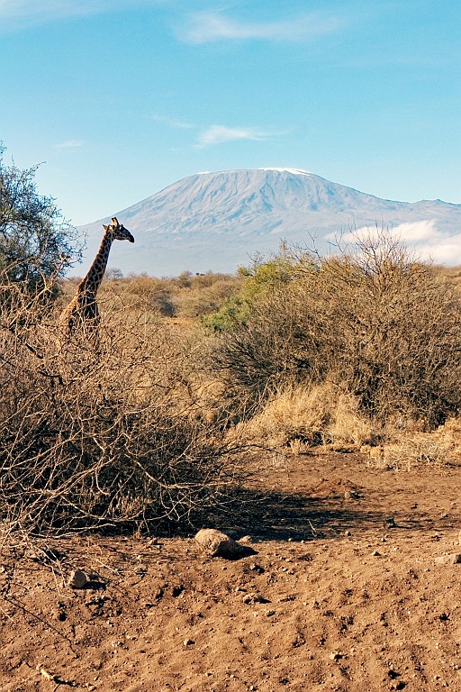 Kenia (121).jpg